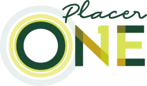 PlacerOne_Logo